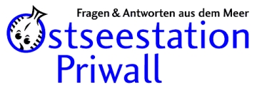 Ostseestation