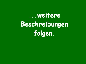 weitere_folgen